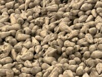 Ein Haufen Energie  iPhone 17 Pro Max   - 31.10.2025 -