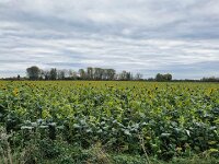 Herbstfahrt 29.10.2025