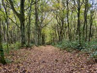 Hier gehts bergab  iPhone 17 Pro Max  -29.10.2025 -