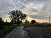 Morgenlicht am stillgelegten Bahnübergang  iPhone 8 plus  - 31.Oktober 2021 - : Landschaft, Baum, Morgenlicht, Weg, Herbst, Bahnübergang
