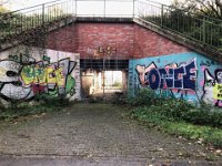 483 ändert sich ständig  iPhone 8 plus  - 31.Oktober 2021 - : Landschaft, Unterführung, Herbst, Graffito