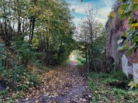 Weg am Fort Blücher  iPhone 8 plus  - 31.Oktober 2021 - : Laub, Landschaft, Weg, Fort Blücher, Herbst, Bäume