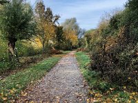 Herbstlaub  iPhone 8 plus  - 31.Oktober 2021 - : Laub, Landschaft, Weg, Herbst, Bäume