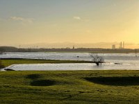 Rheinhochwasser in den Rheinwiesen  iPhone 13 Pro Max  - 27.12.2022 -