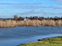 Enten im Hochwasser und Lippeschlösschen  iPhone 13 Pro Max  - 27.12.2022 -