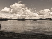Sehr viel Wasser und schöne Wolken  iPhone 8 Plus  7.März 2020 : Rhein, Fluss, Hochwasser