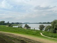 Blick auf den Rhein  iPhone 13 Pro Max  - 15.05.2024 -