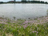 Der Weg am Ufer  iPhone 13 Pro Max  - 15.05.2024 -