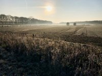 Verblühte Sonnenblumen am Feldrand  iPhone 8 Plus  - 01.Januar 2020 -