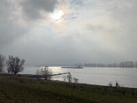 Nebelrhein  iPhone 17 Pro Max   - 09.11.2025 -