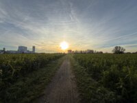 Novembertag 06.11.2025