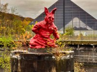 Donnie Darko  iPhone 13 Pro Max  - 14.11..2024 -