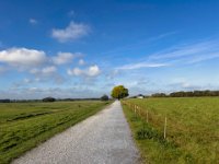 Weg auf dem Rheindeich bei Walsum  iPhone 13 Pro Max  - 23.10.2024 -