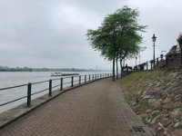 Rees Rheinpromenade  iPhone 8 plus  - 06.Juni 2021 -