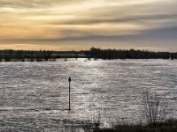 Rheinhochwasser  iPhone 13 Pro Max  - 30.12.2022 -