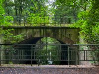 Kleine Brücke im Wald  iPhone 13 Pro Max  - 23.09.2022 -