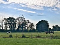 Sommermorgen 18.07.2025