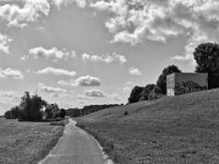 Weg in den Rheinwiesen  iPhone 13 Pro Max  - 15.07.2025 -
