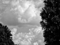 Kühlturm  iPhone 13 Pro Max  - 15.07.2025 -