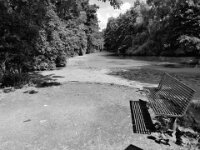 Parkteich  iPhone 13 Pro Max  - 15.07.2025 -