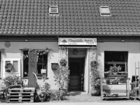 Frau Maiwald im Fliegenpilz  iPhone 13 Pro Max  - 15.07.2025 -