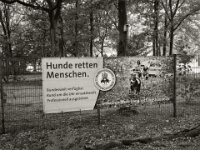 Ganz früher 1969 -73 gab es auf diesem Gelände Pfauen  iPhone 13 Pro Max  - 15.07.2025 -