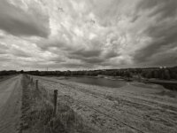Weg am Naturschutzgebiet  iPhone 13 Pro Max  - 15.07.2025 -