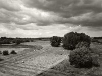Heuballen  iPhone 13 Pro Max  - 15.07.2025 -