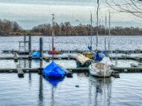 Kleine Schwimmerin vor Segelbooten  iPhone 13 Pro Max  - 10.01.2023 - : Anleger, Xantener Nordsee, Boote