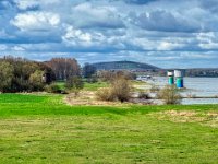 Der Mäuseturm im Grünen am Fluss  iPhone 13 Pro Max  - 27.03.2023 -