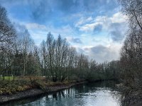 Stilles Wasser  iPhone 13 Pro Max  - 24.12..2022 - : Enten, Landschaft, Xantener Nordsee, Himmel
