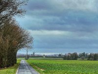 Durch die Felder zum APX  iPhone 13 Pro Max  - 24.12..2022 - : Landschaft, Xanten, Felder, Mühle, Straße, Bäume