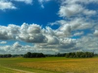 Rheinwiesen und Wolken