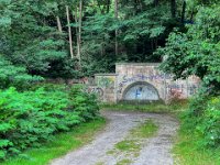 Parklandschaft