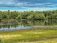 Kleiner See hinterm Deich