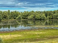 Kleiner See hinterm Deich