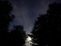 Mond und Venus Abendstern  iPhone 8 Plus  - 15. Oktober 2019 - : Sterne, Venus, Garten Erlenstraße, Abendstern, Nacht, Mond, Baum, Mondschein