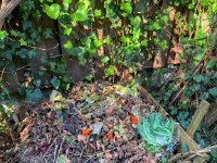 Kompost im Garten  iPhone 13 Pro Max  - 13.03..2022 -