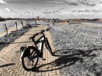 Banane  iPhone 8 Plus, Grafische Bearbeitung  - 15.11.2017 - : Banane, Bank, Fahrrad, Fluss, Landschaft, Rheinwiesen, Schiff, Weg, Weide, Wolken