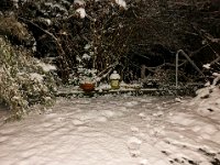 Morgendliche Spuren im Schnee  iPhone 8 plus  - 01.Februar 2019 -