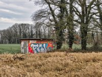 Neues Graffiti  iPhone 13 Pro Max  - 20.02.2024 -