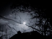 Mondlicht am frühen Morgen  iPhone 13 Pro Max  - 23.02.2024 -