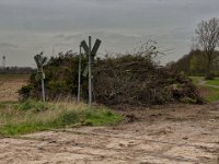 Osterfeuer, der Holzstoß wird wieder nicht umgeschichtet, zig Tiere werden in den Flammen umkommen.  iPhone 13 Pro Max  - 30.03.2024 -