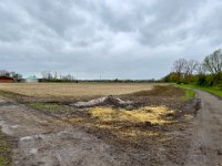 Kleintiere und Insekten wurden wieder einmal verbrannt, Osterfeuer ohne Umschichtung  iPhone 13 Pro Max  - 03.04.2024 -