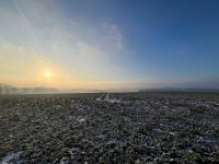 Morgenlicht im Winter  iPhone 13 Pro Max  - 20.01.2024 - : Landschaft, Winter, Dunst, Morgenrot, Frost, Feld, Morgensonne