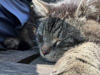 Struppi  iPhone 13 Pro Max  - 04.04.2025 -