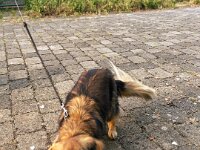 ... sie tobt gerne mit mir herum  iPhone 13 Pro Max  - 19.05.2025 -