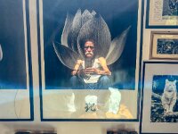 Spiegelung  iPhone 13 Pro Max  - 02.07.2025 -