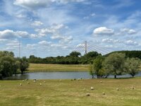 Lippemündung Naturschutzgebiet  iPhone 13 Pro Max  - 04.07.2025 -