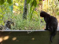 Begegnung  iPhone 13 Pro Max  - 18.07.2025 -